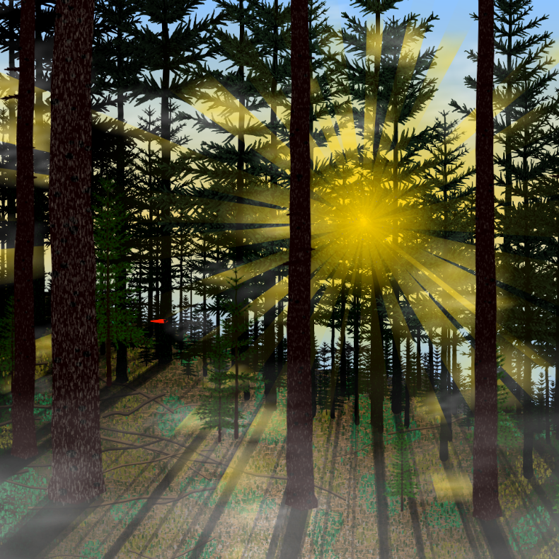 Forest Sunrise #22 static token preview