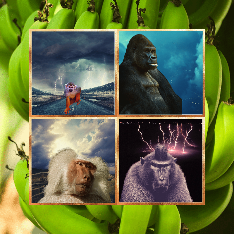 Banana legends #7 static token preview