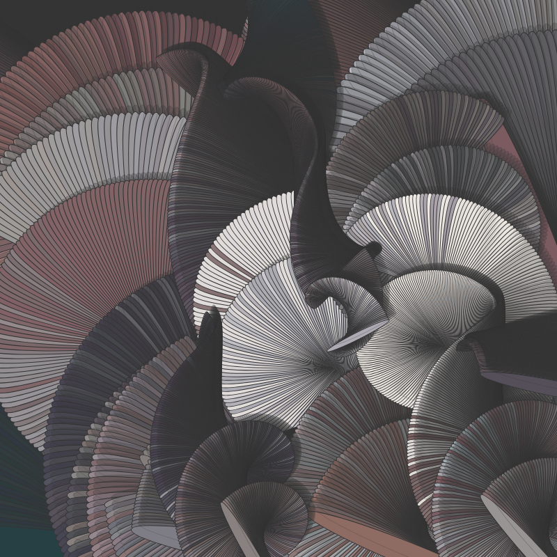 Seashells #14 static token preview