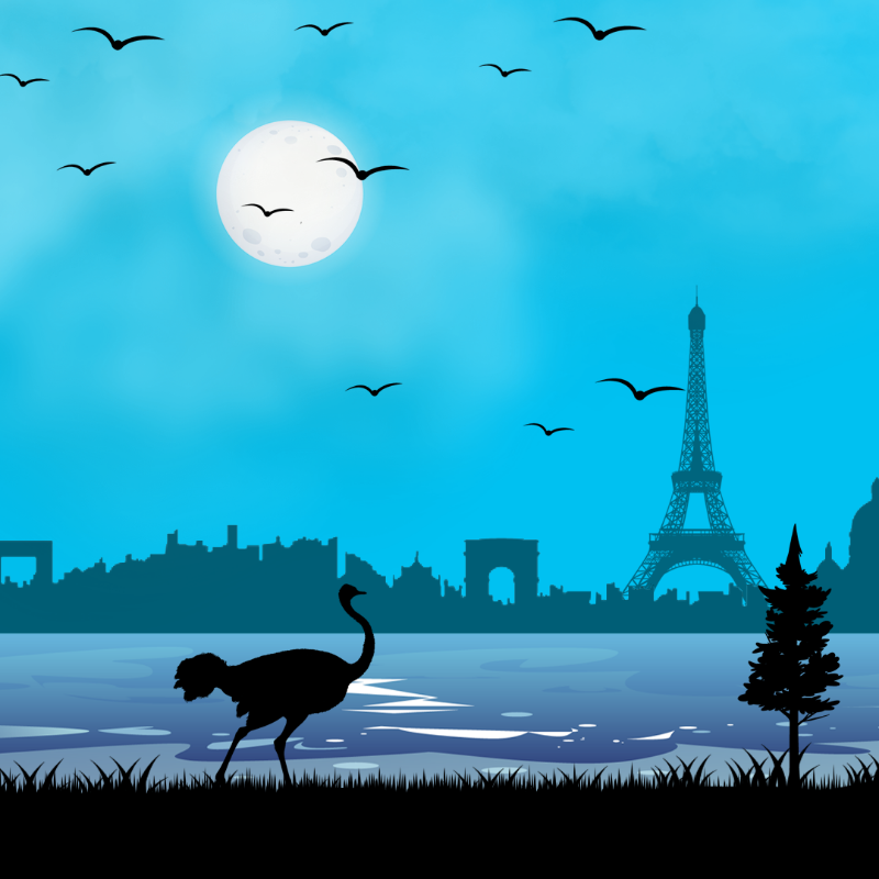 We Care...Ostrich #7 static token preview
