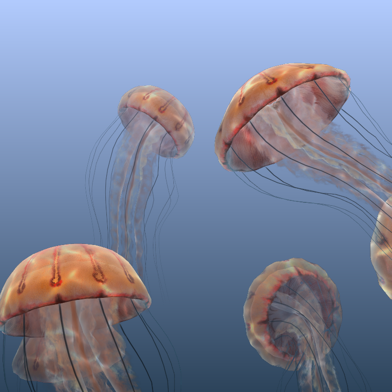 Jellyfish #9 static token preview
