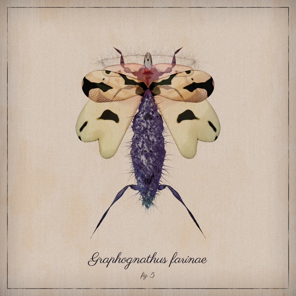 ProcGen Entomology #138 static token preview