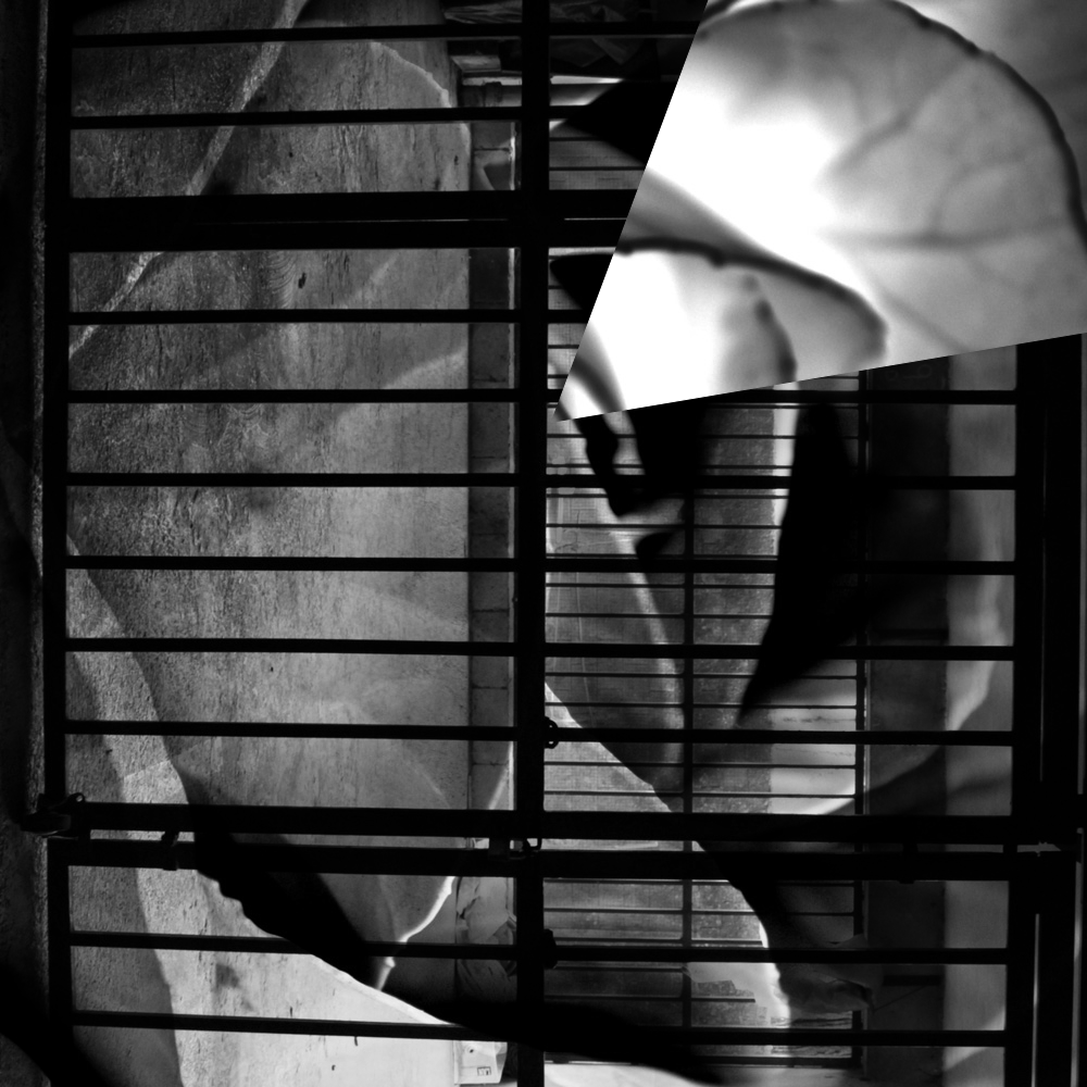 Subjective photography #1 #2 static token preview
