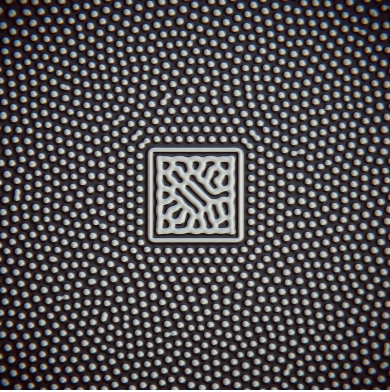 Biomechanika #19 static token preview
