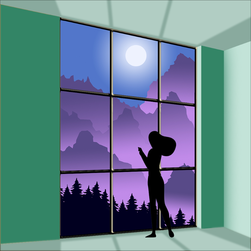 both sides of the Window #9 static token preview