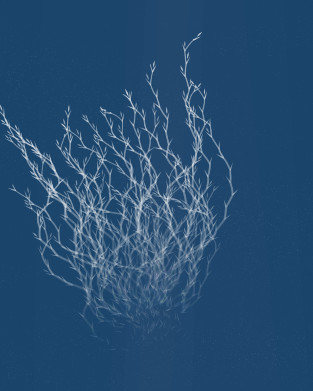 Cyanotypes #22 static token preview