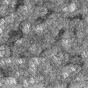 thick growth of grass project preview