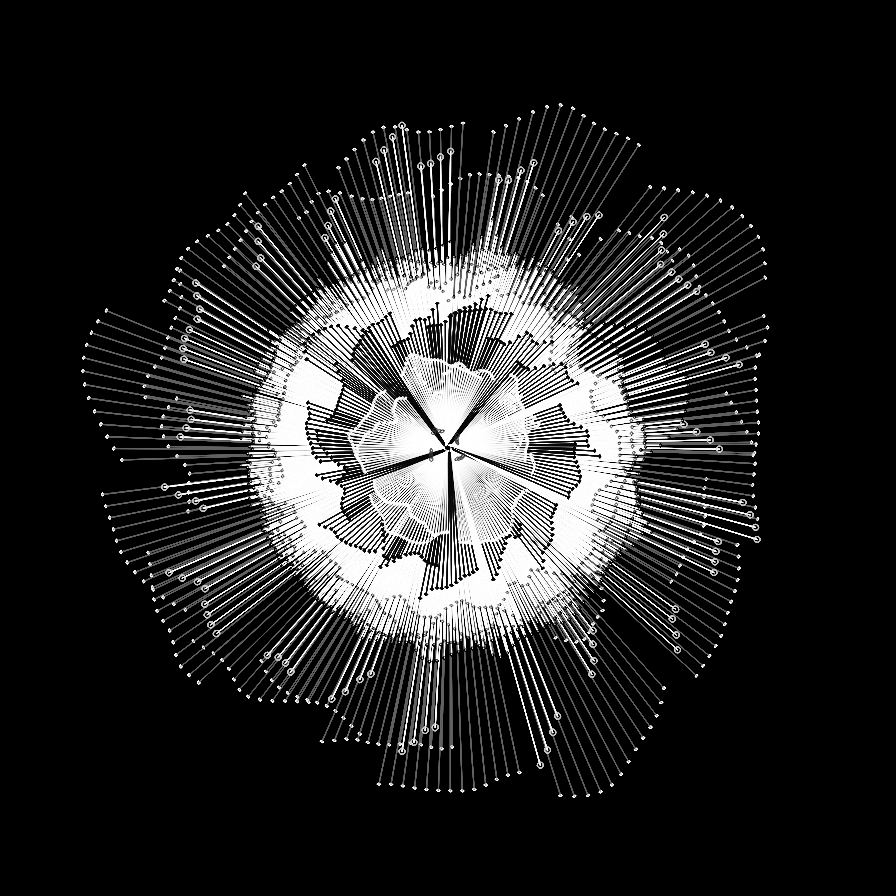 Camellia #12 static token preview