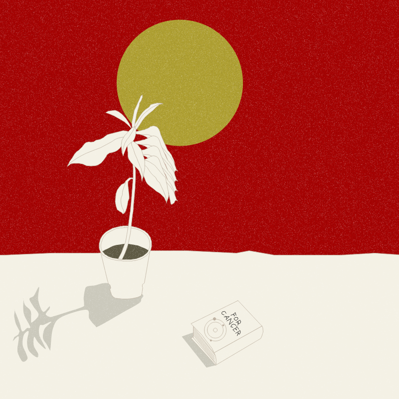 Still Life #12 #24 static token preview