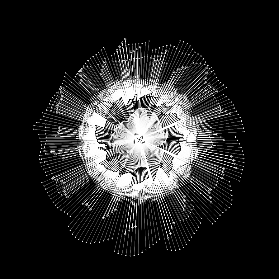 Camellia #16 static token preview