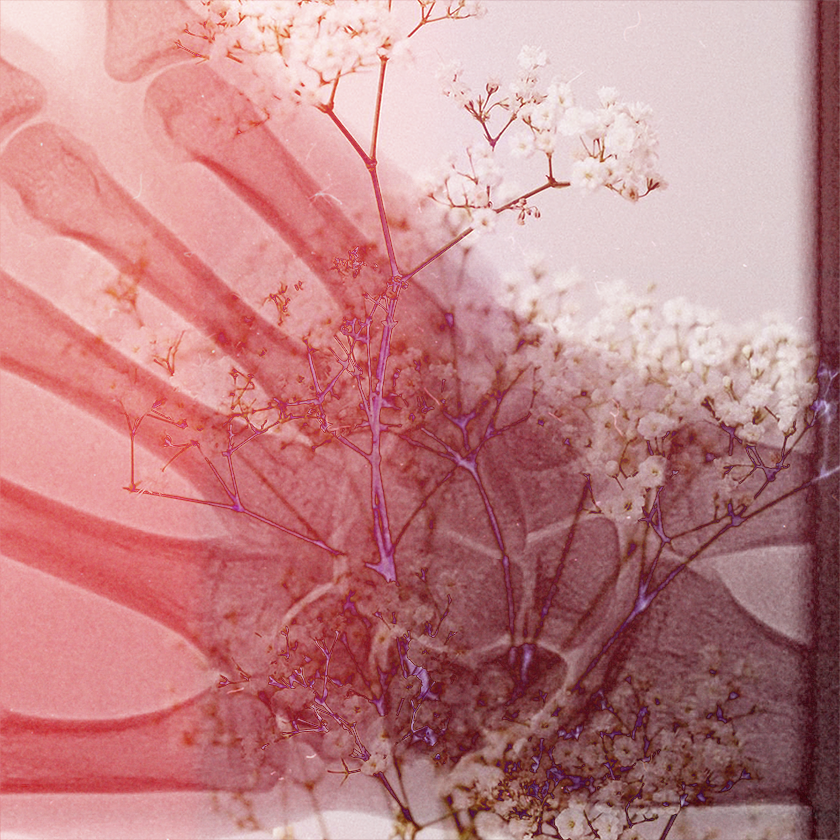 flowers and death #22 static token preview