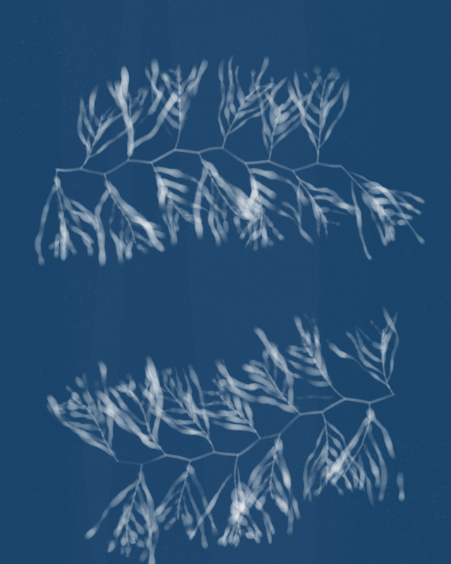 Cyanotypes #10 static token preview