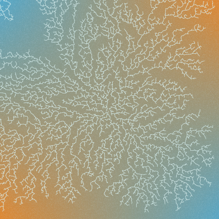 Frozen Windows #9 static token preview