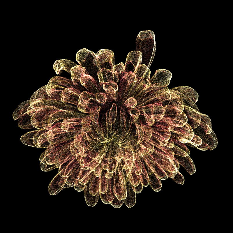 Chrysanthemum Morifolium 30 #16 static token preview