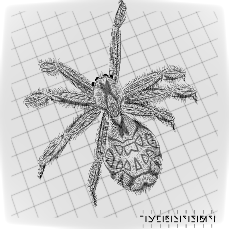 Impure Spiders #10 static token preview
