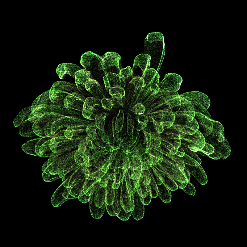 Chrysanthemum Morifolium 30 #7 static token preview