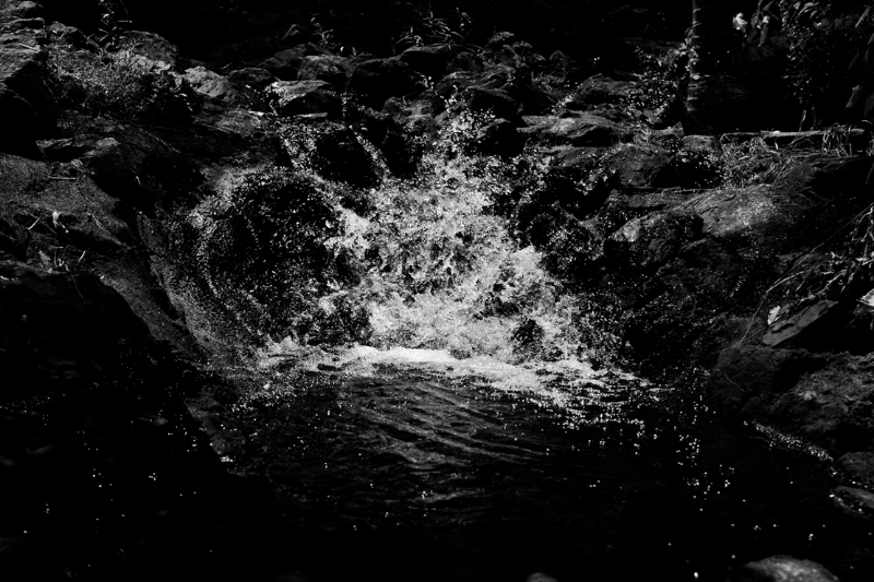 chasing waterfalls #18 static token preview