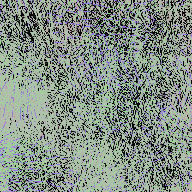 a bird worked on my painting #28 static token preview