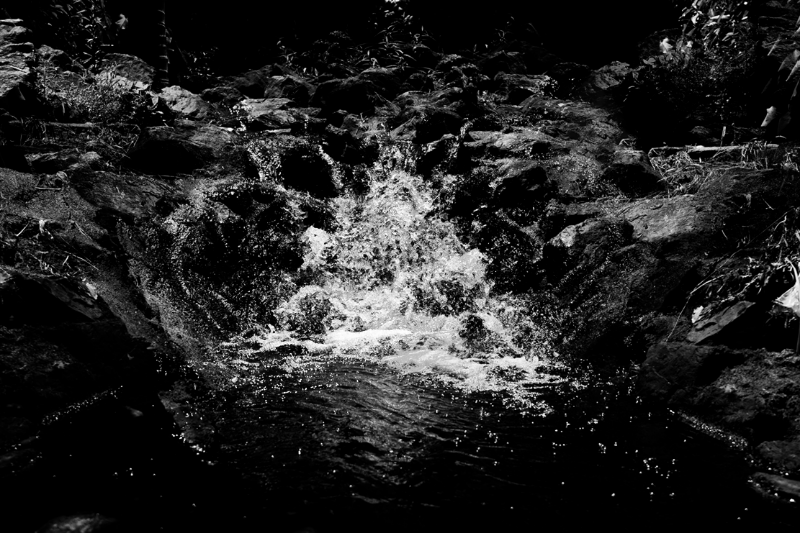 chasing waterfalls #16 static token preview