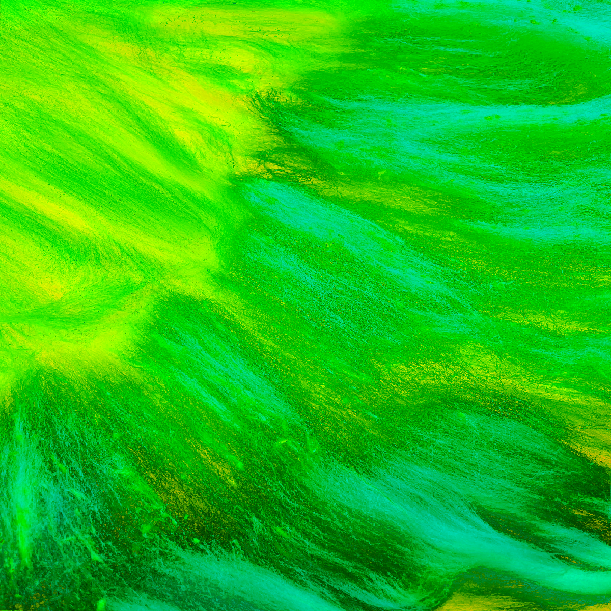 Fluxus | Collab with Rose Jackson #11 static token preview