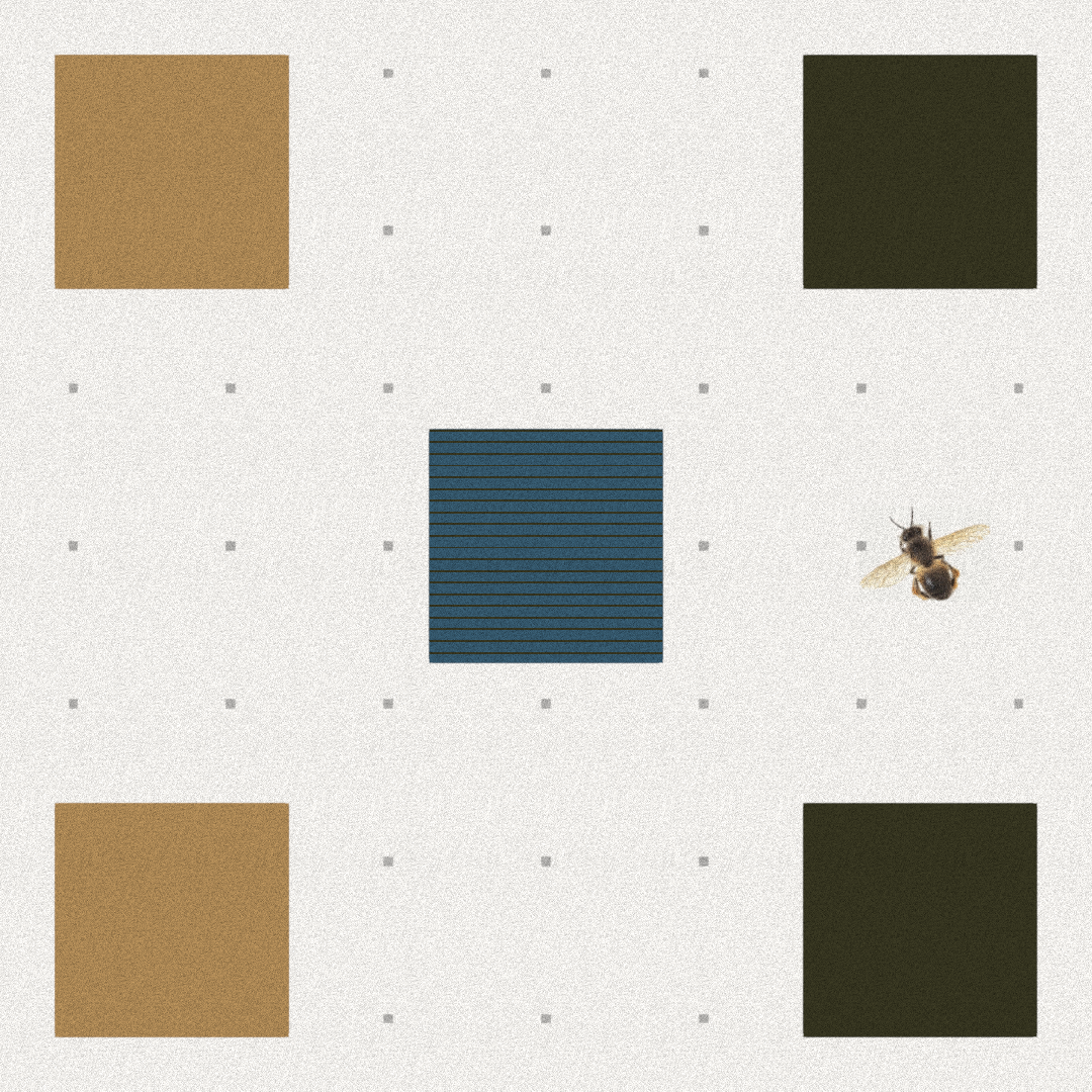 Bee #17 static token preview