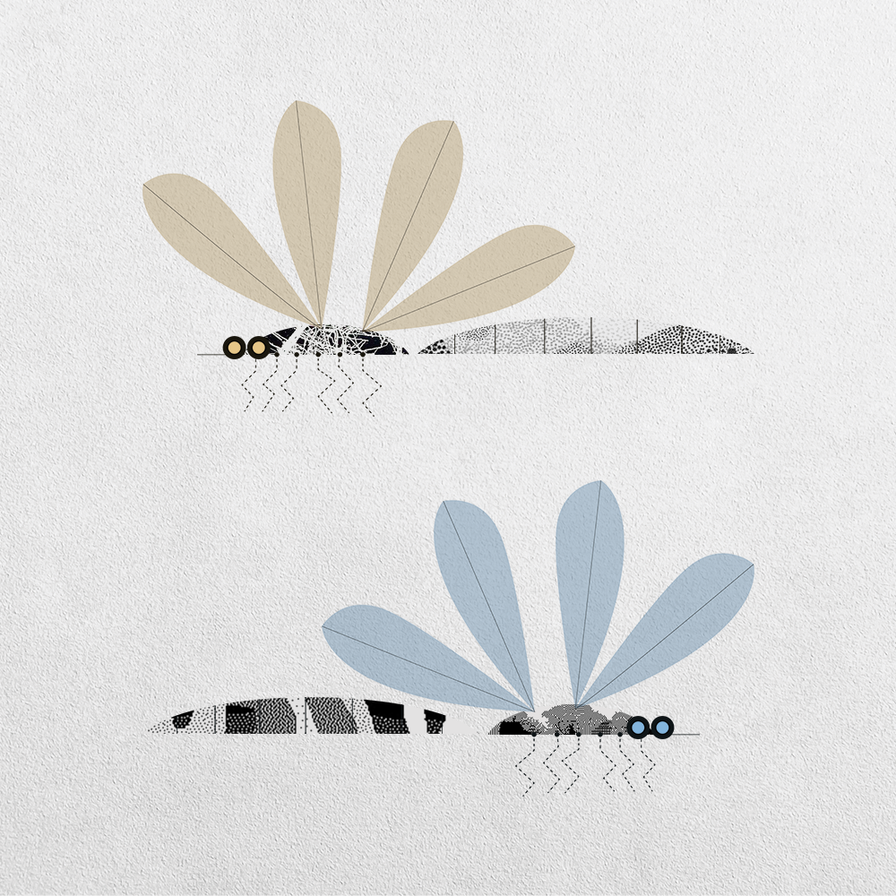 Mosquito Abstraction #23 static token preview