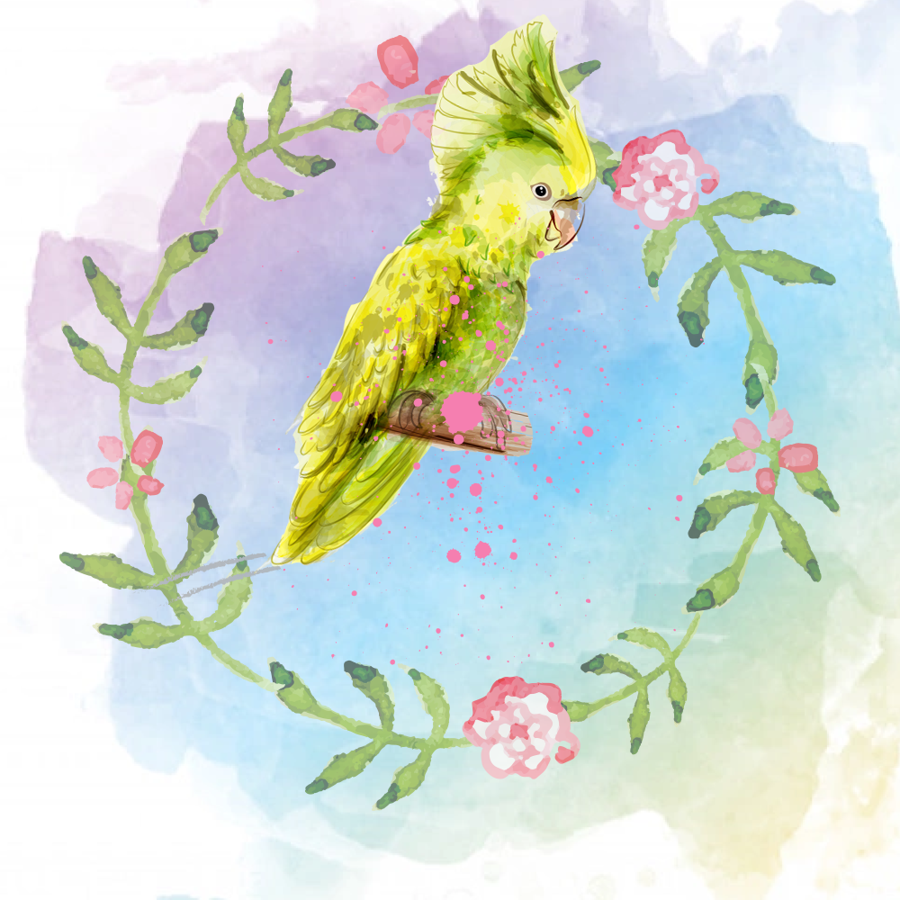 Random Tropical Birds #4 static token preview
