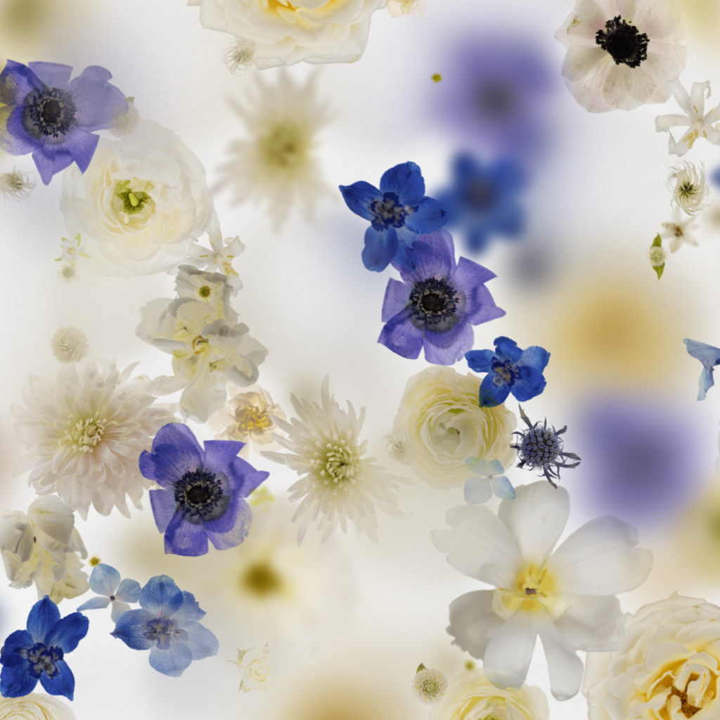 Broken Flowers #8 static token preview