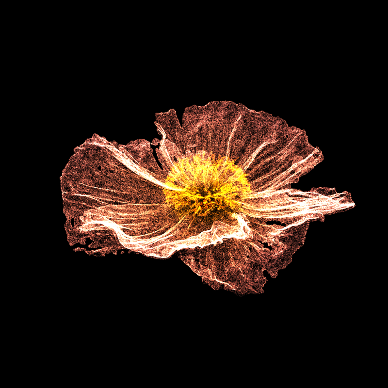 White Poppy 30 #17 static token preview