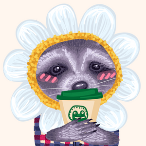 Cool Raccoon Collection project preview