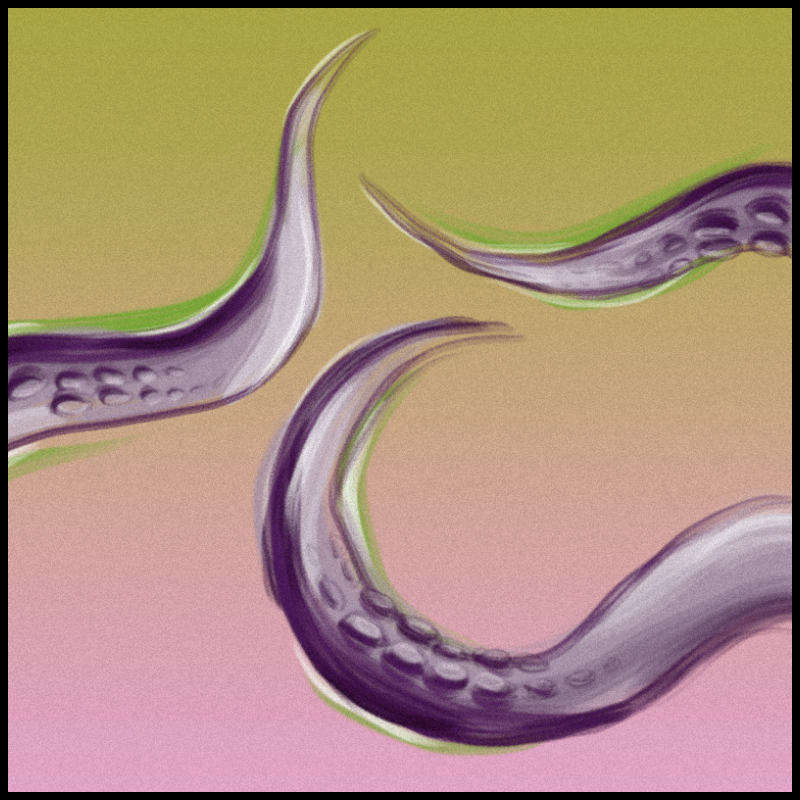 tentacles #2 static token preview