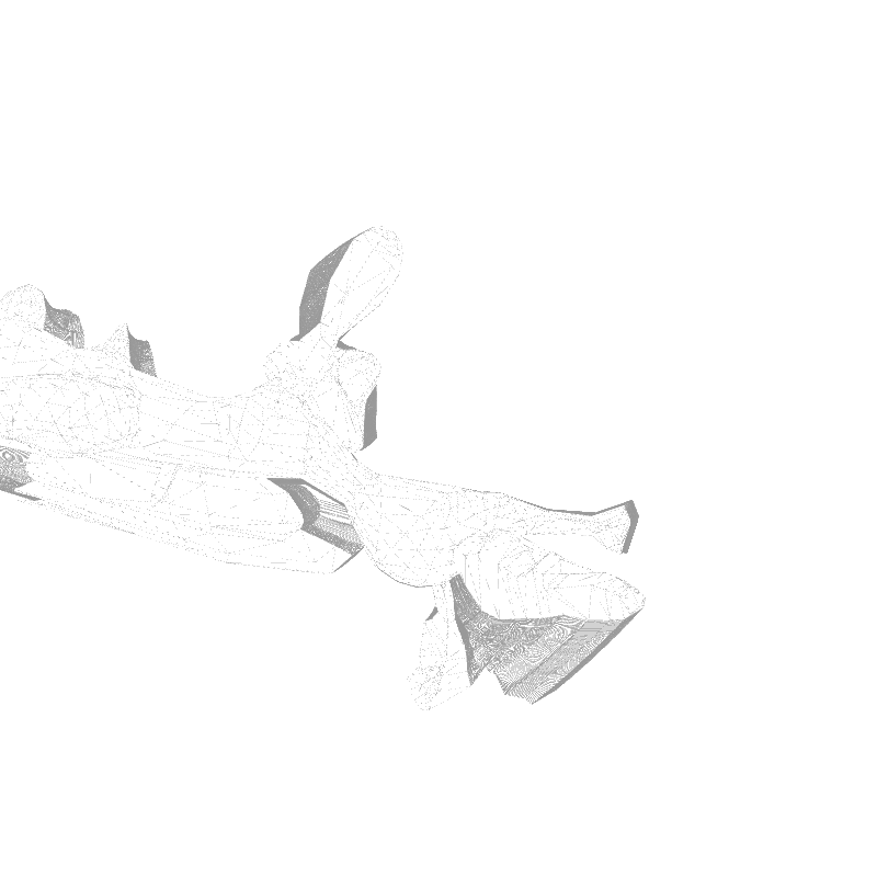 traces #24 static token preview