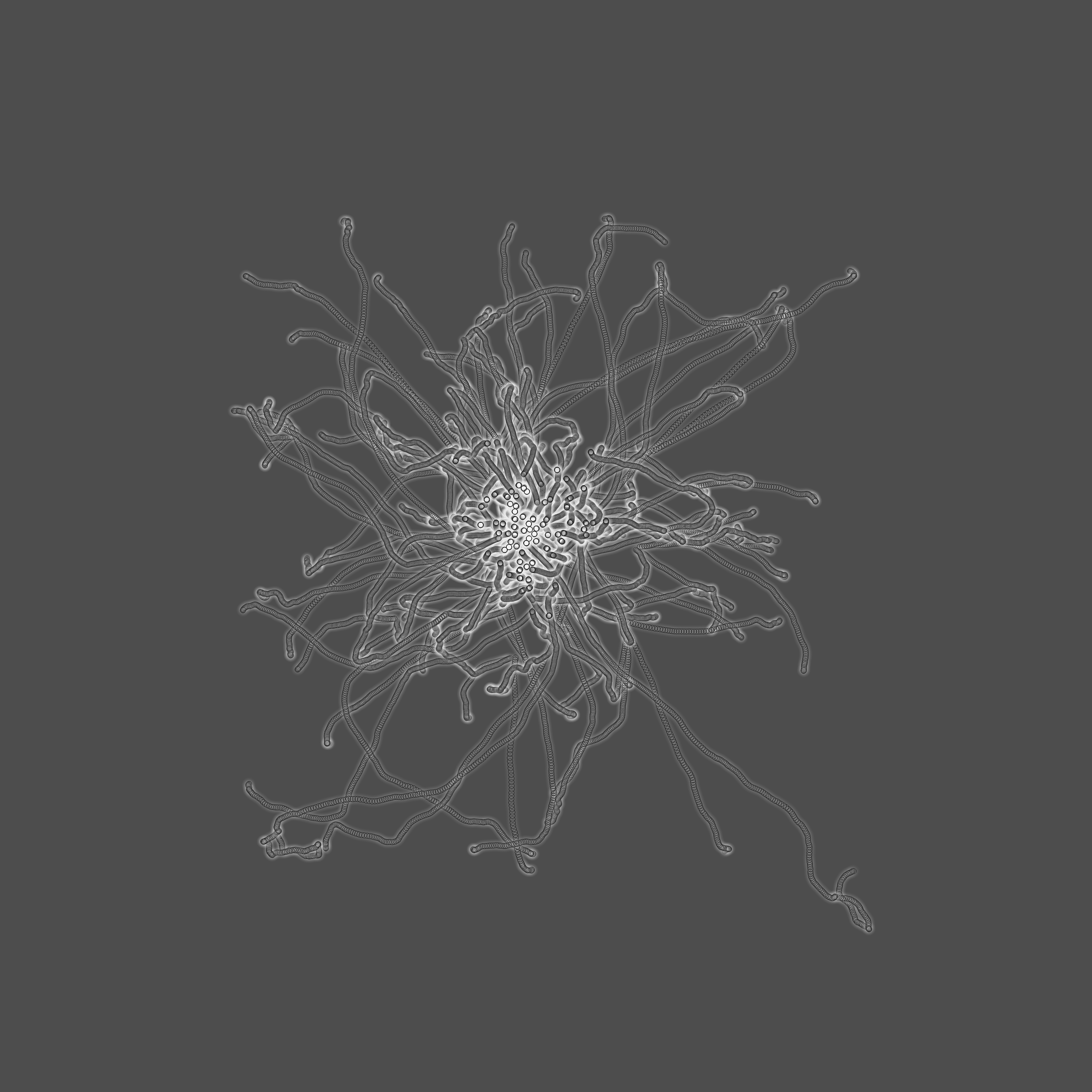 grey fungi wisdom #3 static token preview