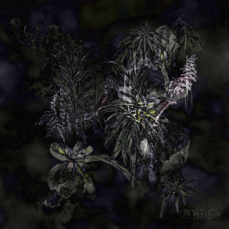 Hauntological Herbarium #10 static token preview