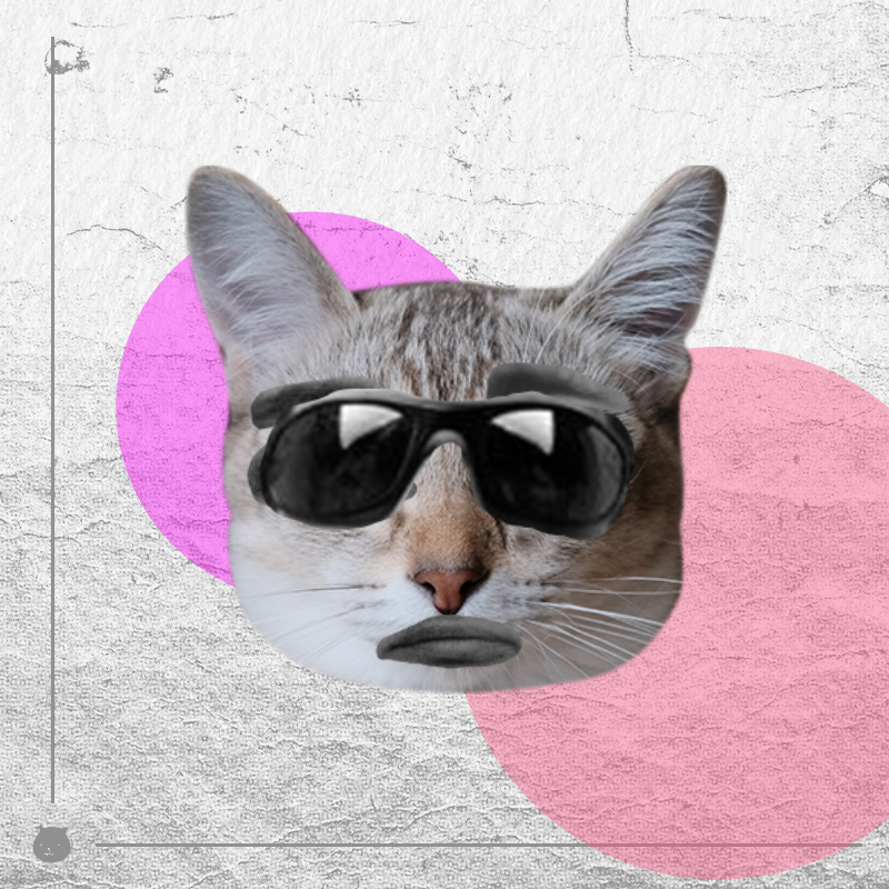 Kittenstein #7 static token preview