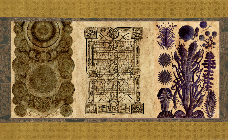 The Emissary Scrolls #5 static token preview