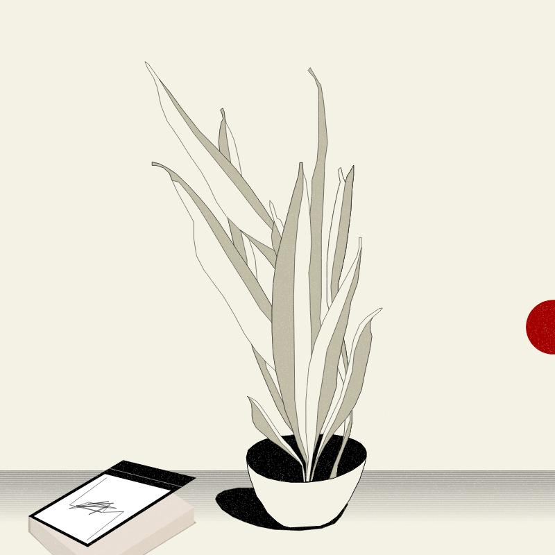 Still Life #2 #10 static token preview