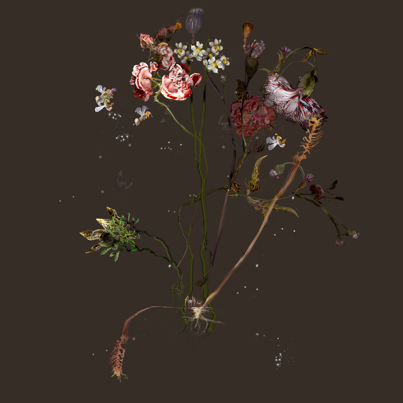 Generative Still Life: Still Life 17.0 #1 static token preview