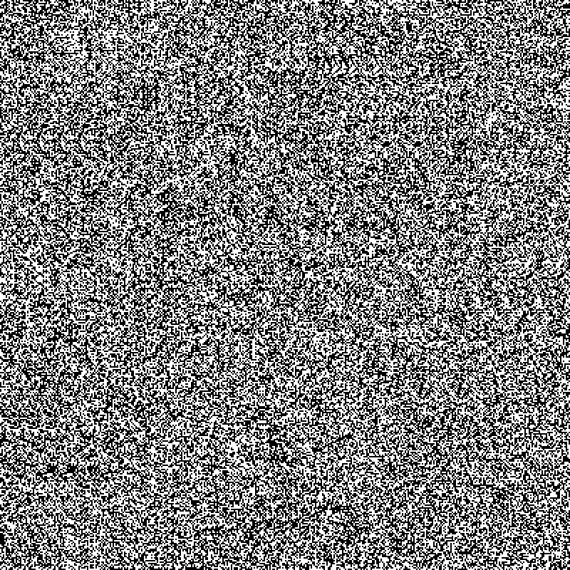 no noise #1 #12 static token preview
