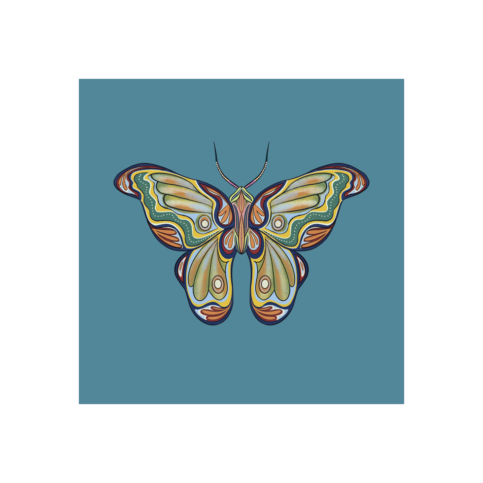 The Moth Experiment #20 static token preview