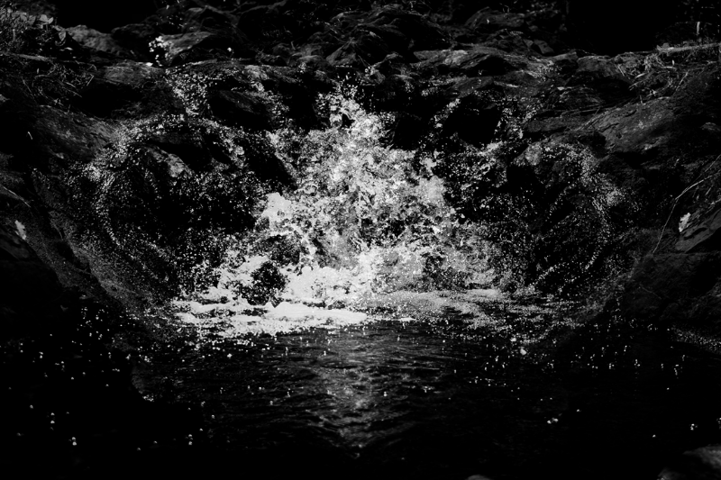 chasing waterfalls #10 static token preview