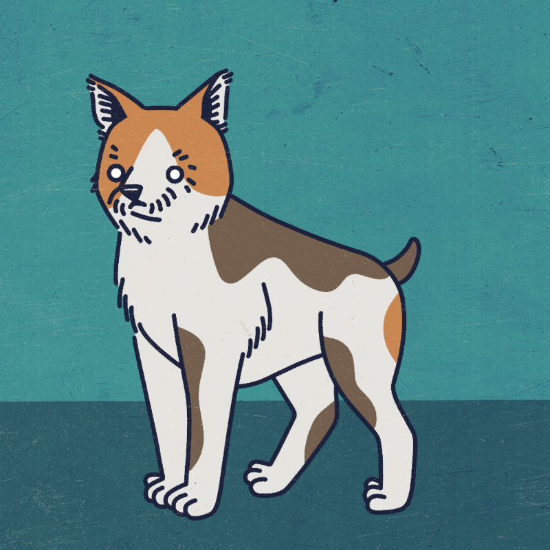 future_dogs #12 static token preview