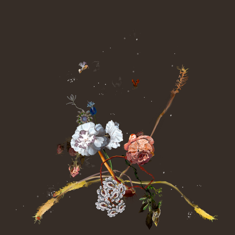 Generative Still Life: Still Life 17.0 #24 static token preview