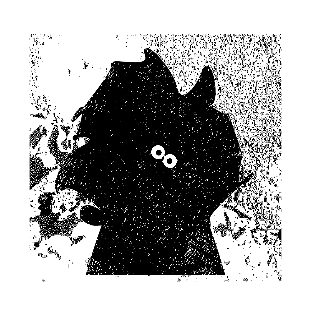 Missingno #11 static token preview