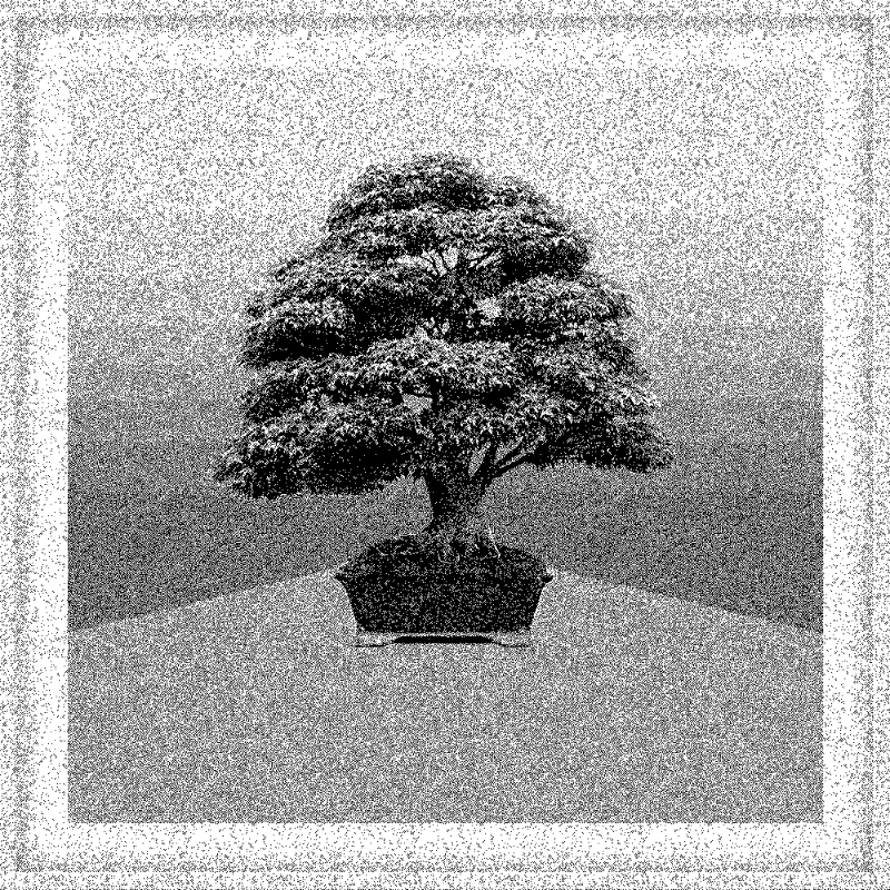 Bonsai Bonanza #5 static token preview
