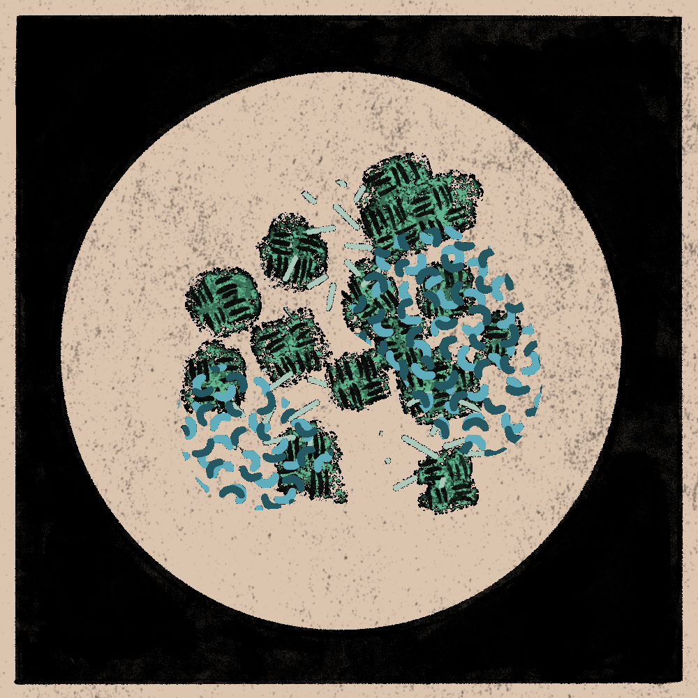Microbes #6 static token preview