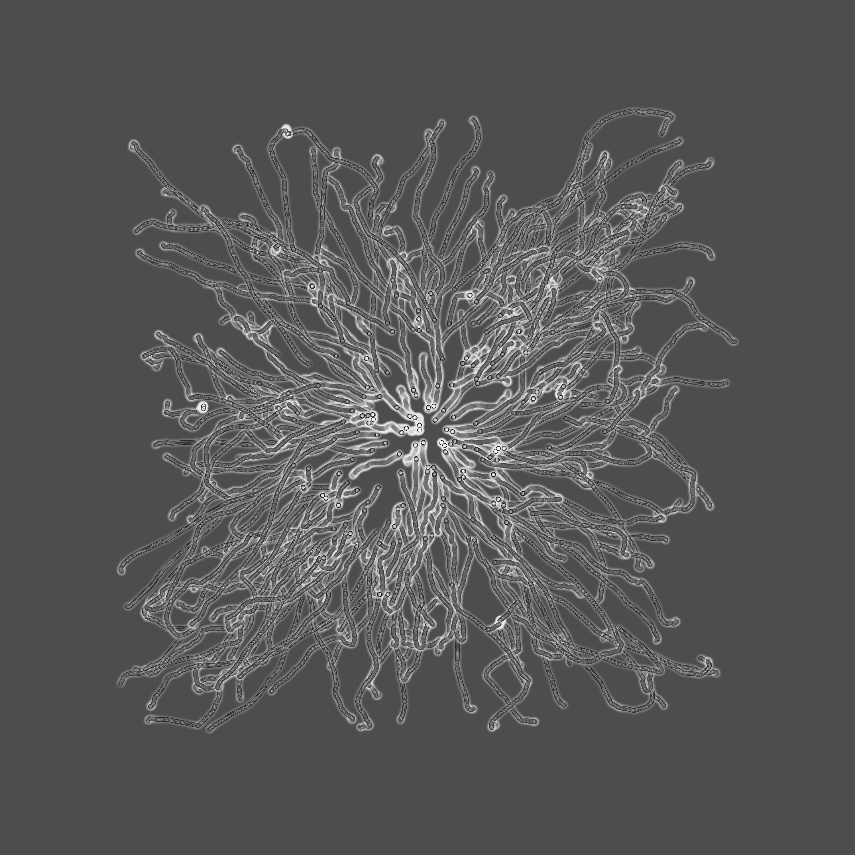 grey fungi wisdom #92 static token preview