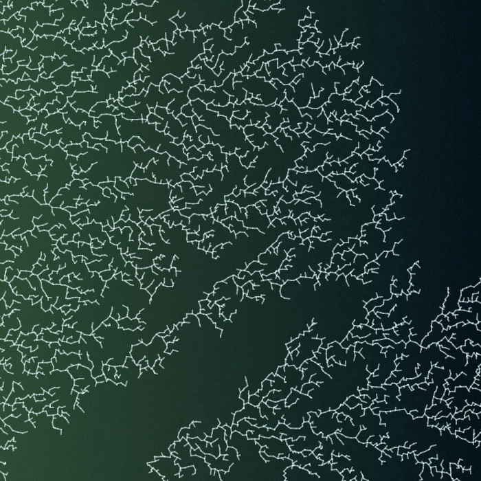 Frozen Windows #15 static token preview