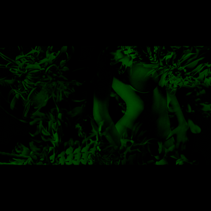 green feelings project preview