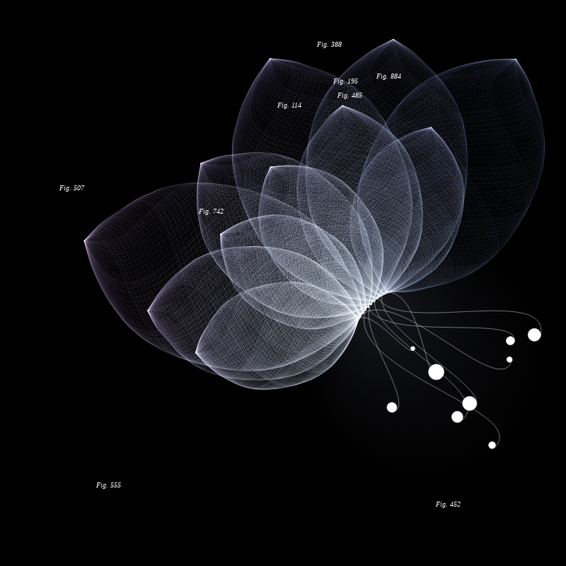Herbarium #377 static token preview
